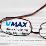 Điều khoản và Điều kiện vmax
