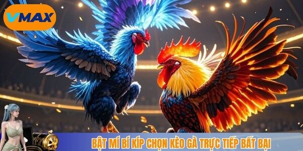 Bật mí bí kíp chọn kèo gà trực tiếp bất bại