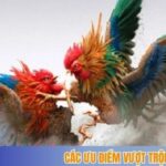 Các ưu điểm vượt trội