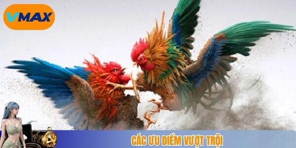 Các ưu điểm vượt trội