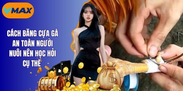 Cách Băng Cựa Gà Cực Chuẩn Chỉ Với Vài Bước Đơn Giản