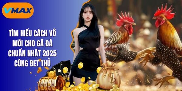 Khám Phá Cách Vô Mồi Cho Gà Đá Cơ Bản Nhất Năm 2025