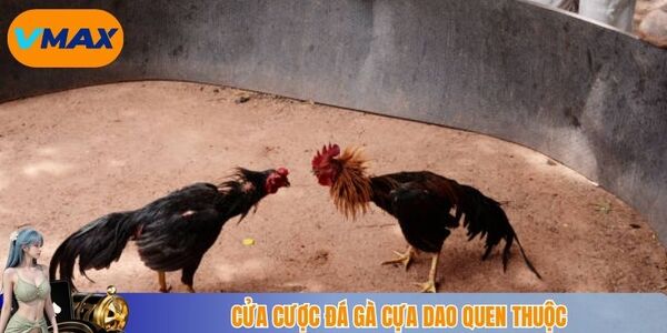 Cửa cược đá gà cựa dao quen thuộc