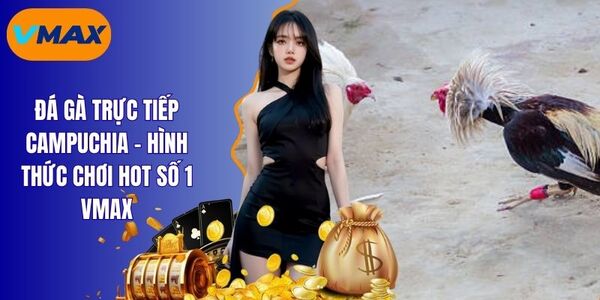 Đá Gà Trực Tiếp Campuchia - Lựa Chọn Số 1 Của Các Cao Thủ