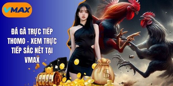 Đá Gà Trực Tiếp Thomo - Mãn Nhãn Trong Từng Pha Đấu
