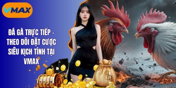 Đá Gà Trực Tiếp Vmax - Xem Hàng Nghìn Trận Đấu Kịch Tính