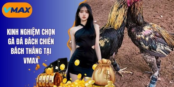 Một số lưu ý khi chọn kê đá hay