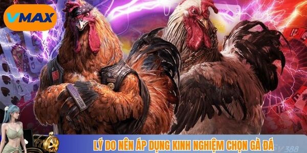 Một số lưu ý khi chọn kê đá hay