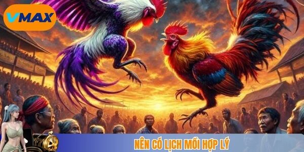 Nên có lịch mồi hợp lý