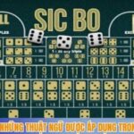 Những thuật ngữ được áp dụng trong game sicbo