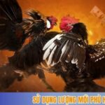 Sử dụng lượng mồi phù hợp