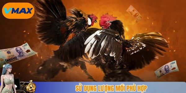 Sử dụng lượng mồi phù hợp