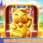 Tham khảo thêm kinh nghiệm cá cược lucky neko hiệu quả