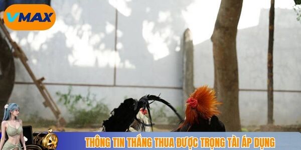 Thông tin thắng thua được trọng tài áp dụng